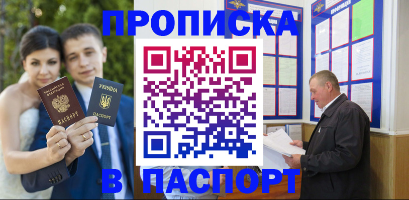 прописка ребенка в Щёлково